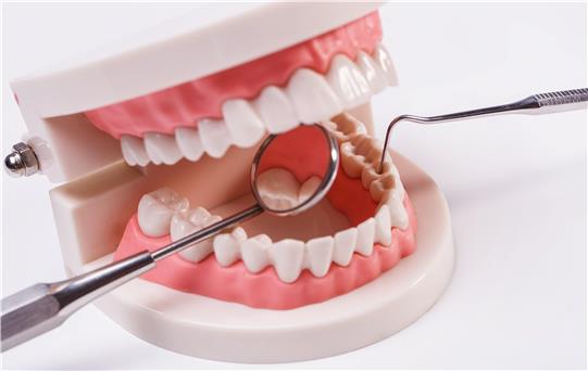 Diş Eti Sağlığının Önemi ve Korunma Yolları